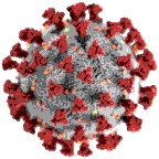 coronavirus logo image